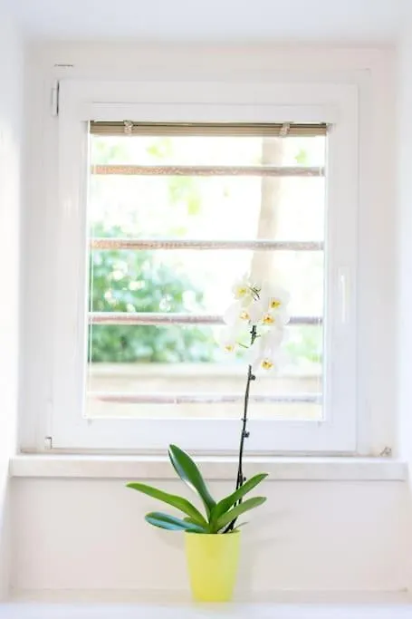 Apartment Cozy Basement Flat, Skyshowtime, 3 Minutes To Center Prag